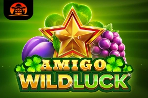 00395 amigo wild luck
