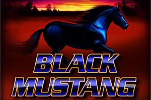01363 black mustang
